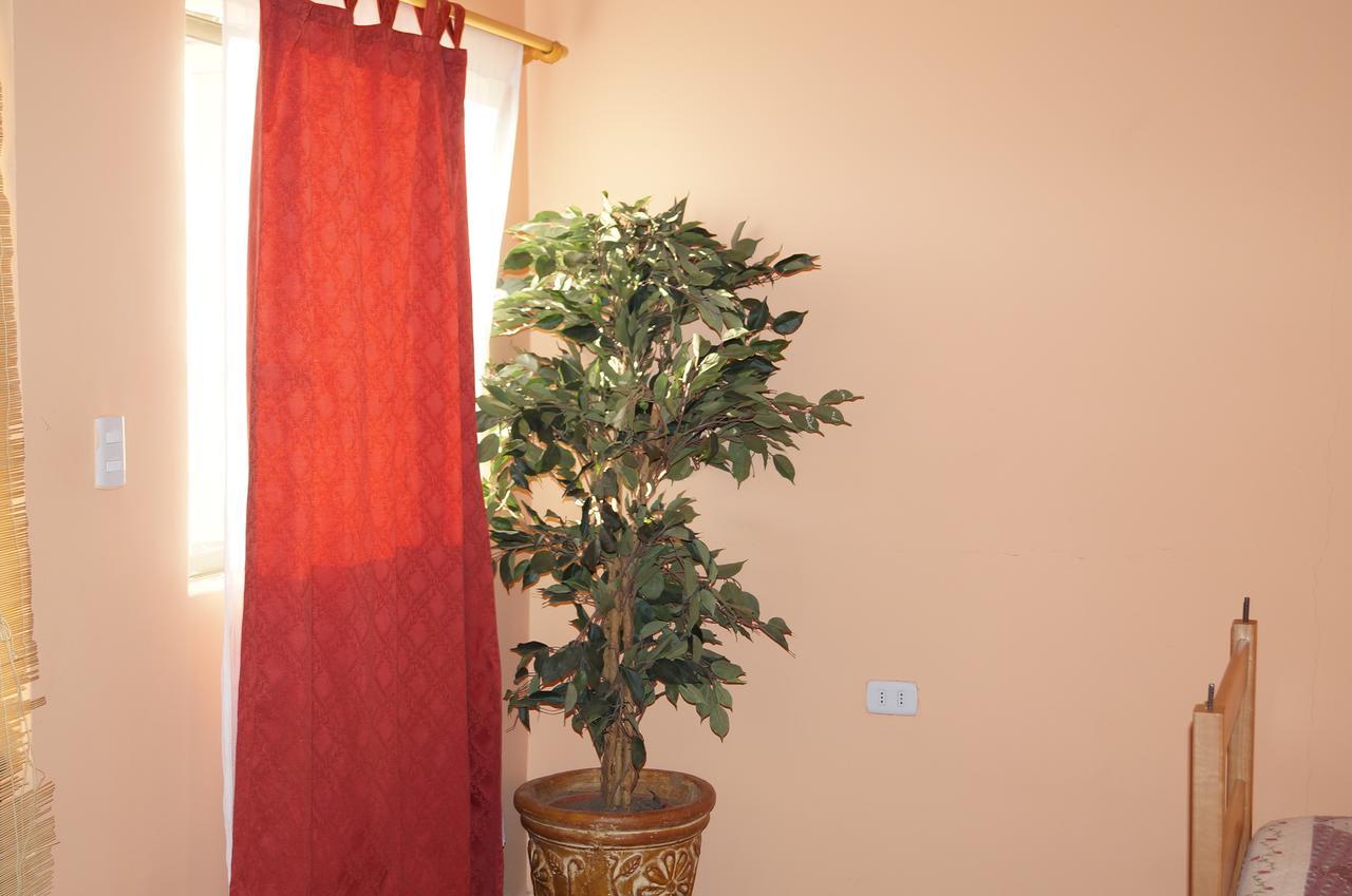 Hostal Intipara سان بيدرو دي أتاكاما المظهر الخارجي الصورة